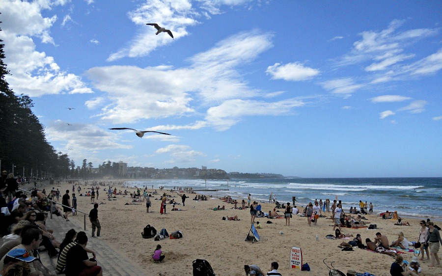 Manly Beach in March