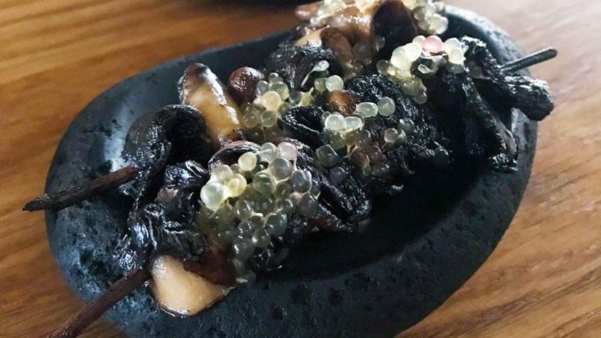 Paperbark-Mushrooms (1)
