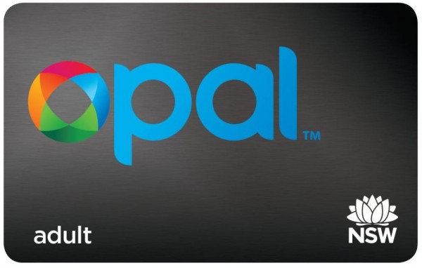 image of an Adult Opal Card