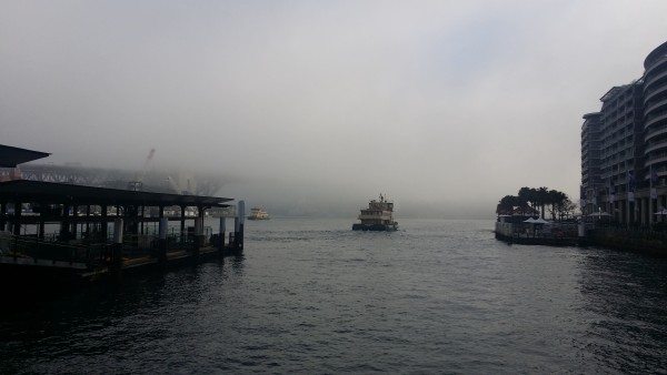 Foggy Sydney