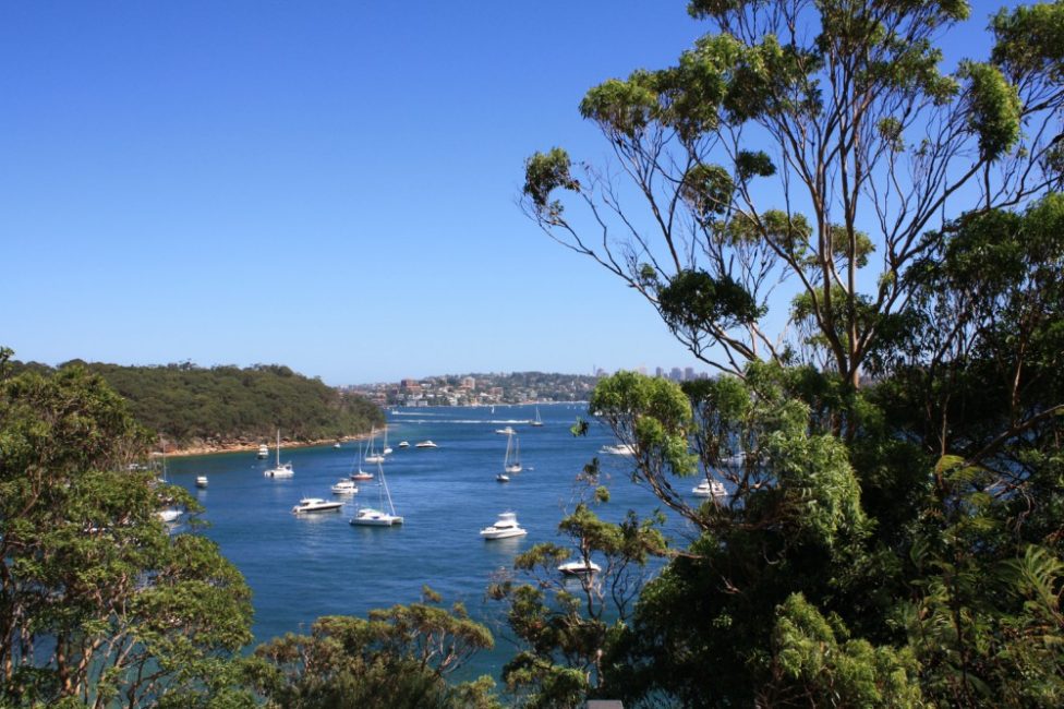 Taylor's Bay - Sydney Harbour National Park 