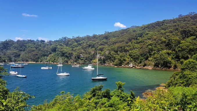 Boats in Taylors Bay Sydney Harbour