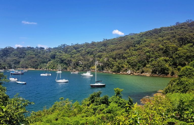 Taronga to Balmoral Walk: Complete Guide with Map (2025)