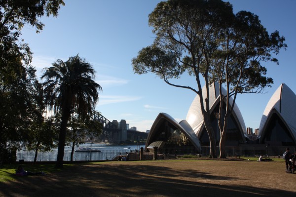 Bennelong Lawn Sydney Royal Botanic Gardens
