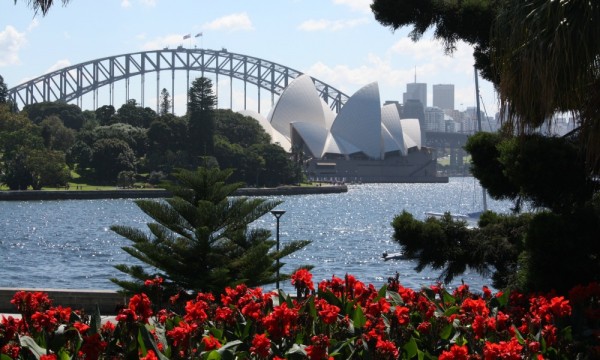 Sydney Royal Botanic Garden