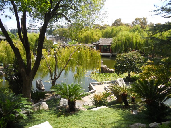 Chinese Gardens in Darling Harbour