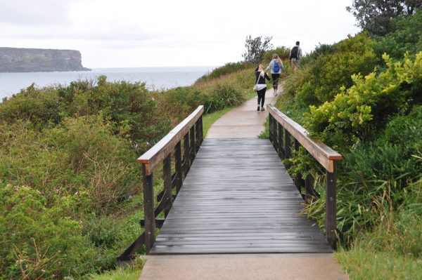 Watsons Bay Walk track