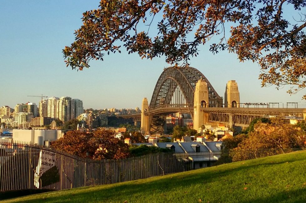 Observatory Hill at golden hour The Rocks Self Guided walk