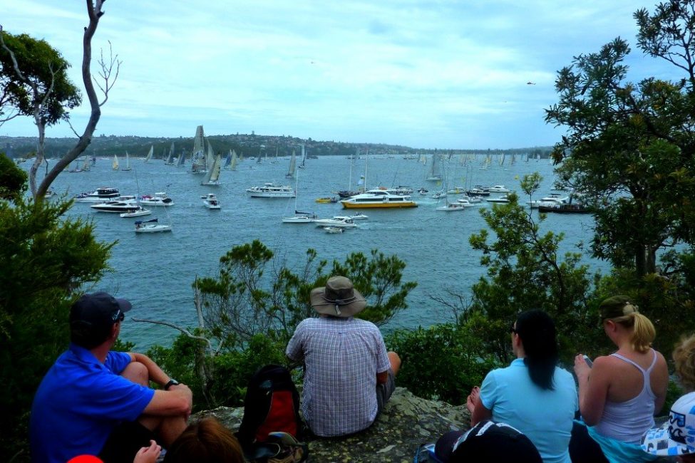 Watching the Sydney to Hobart race from the shoreline at Mosman