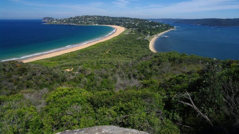 Spend a Day Exploring Palm Beach Sydney