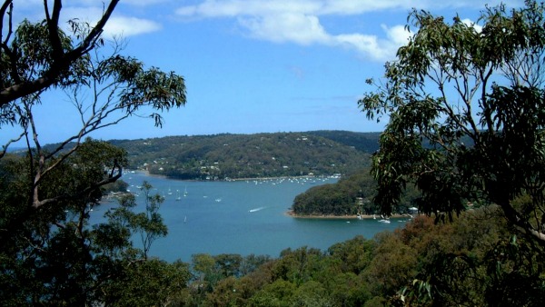 Palm Beach and Pittwater view