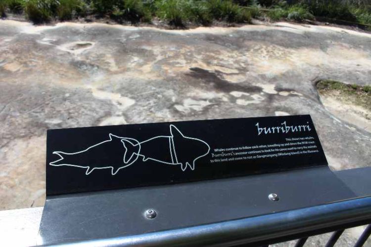 Aboriginal Rock engravings in Bundeena