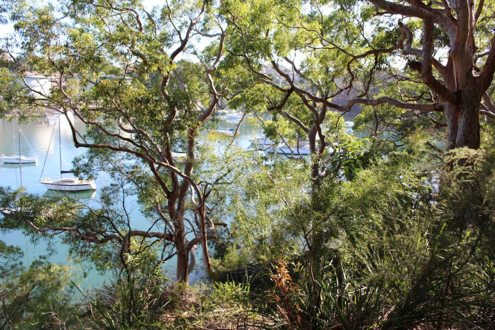 Berry Island Reserve – Gadyan Track