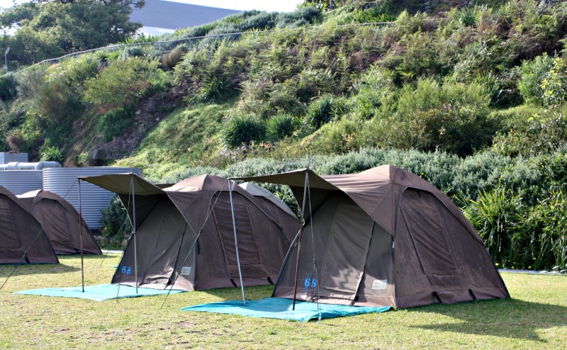 Cockatoo Island campsite