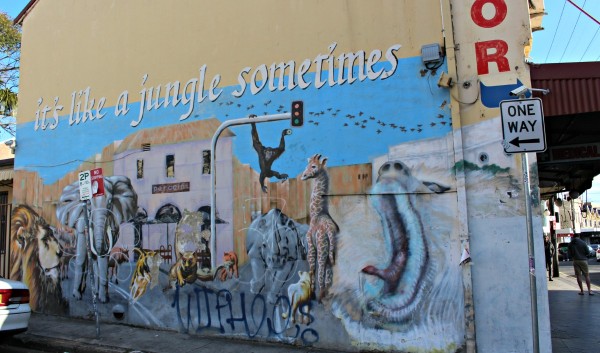 Enmore Road Jungle Grafitti Newtown inner west street art walk Sydney Australia