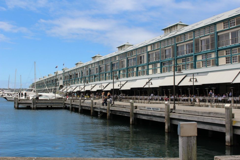 Wooloomooloo wharf see sydney by bus on the 311
