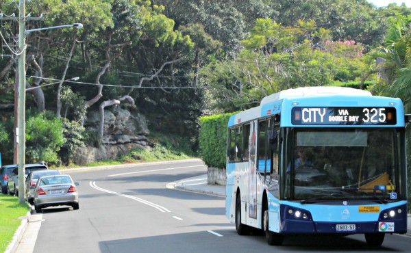 325 bus Watsons Bay to Walsh Bay Sydney public transport includes over 400 bus routes