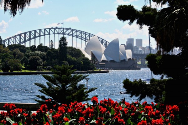 Botanic Gardens Opera House View