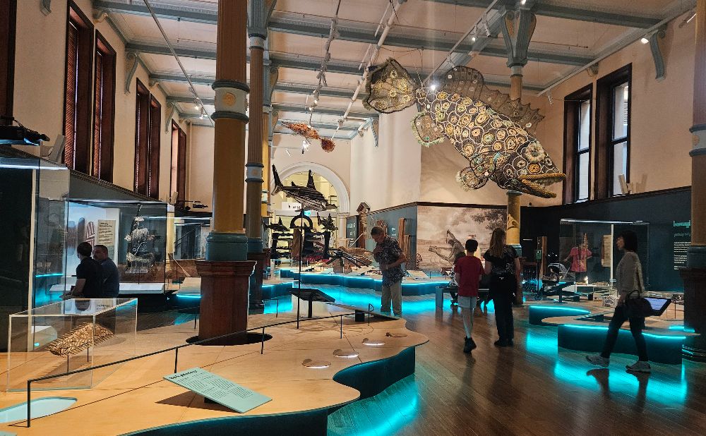 Australian Museum First Nations Gallery