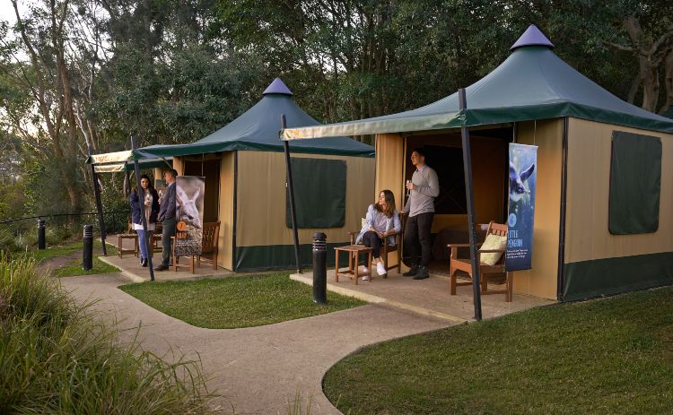 Roar and Snore tents at Taronga Zoo Sydney 