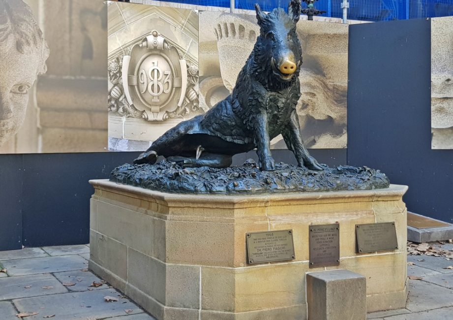 Sydney history walk Macquarie St Boar