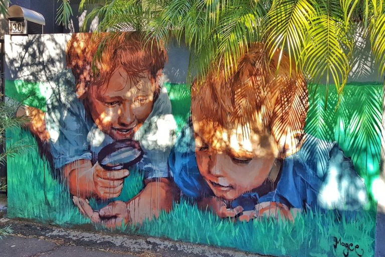 20+ Fintan Magee Murals in Sydney