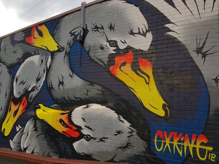 Finding Sydney's Best Street Art Sydney Expert