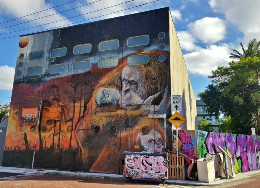 Finding Sydney's Best Street Art Sydney Expert