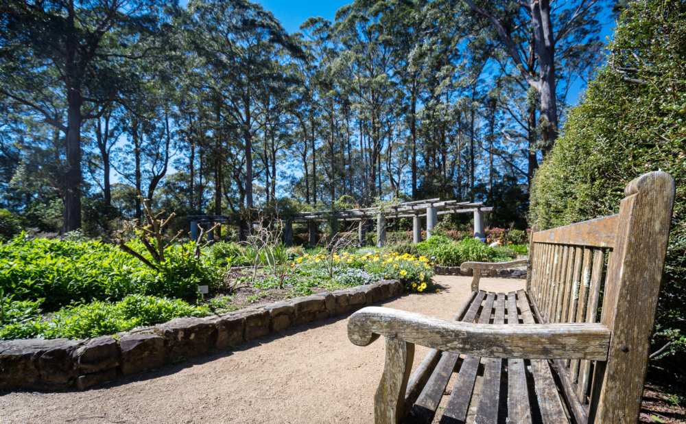 Blue Mountains Botanic Gardens