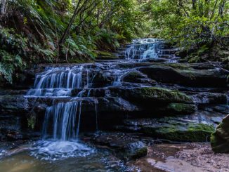 Leura cascades walking tracks