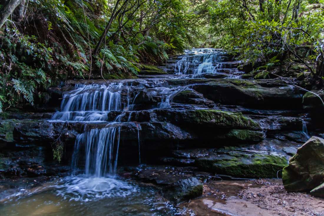 Leura Cascades Blue Mountains Walk 