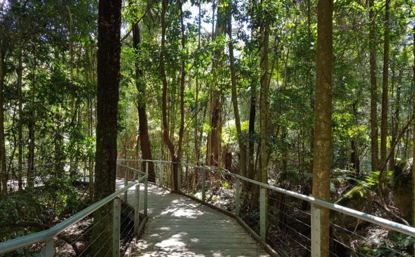 Scenic Walkway Scenic World Katoomba