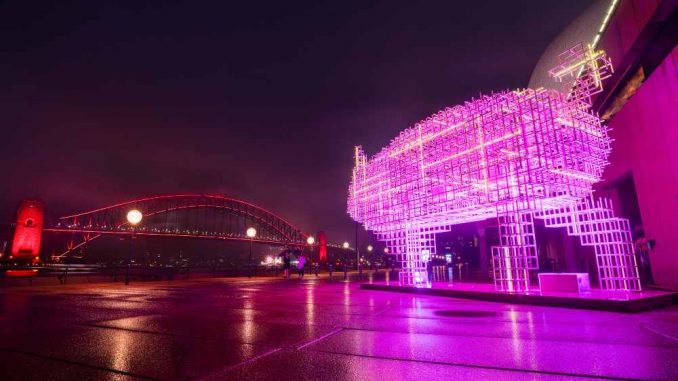 Hero_Pig_Sydney_Lunar_New_Festival_2019_Daniel_Tran (1) Chinese New Year Pig Sydney