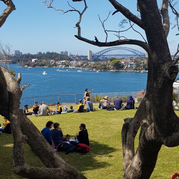 Cockatoo Island picnic lawn