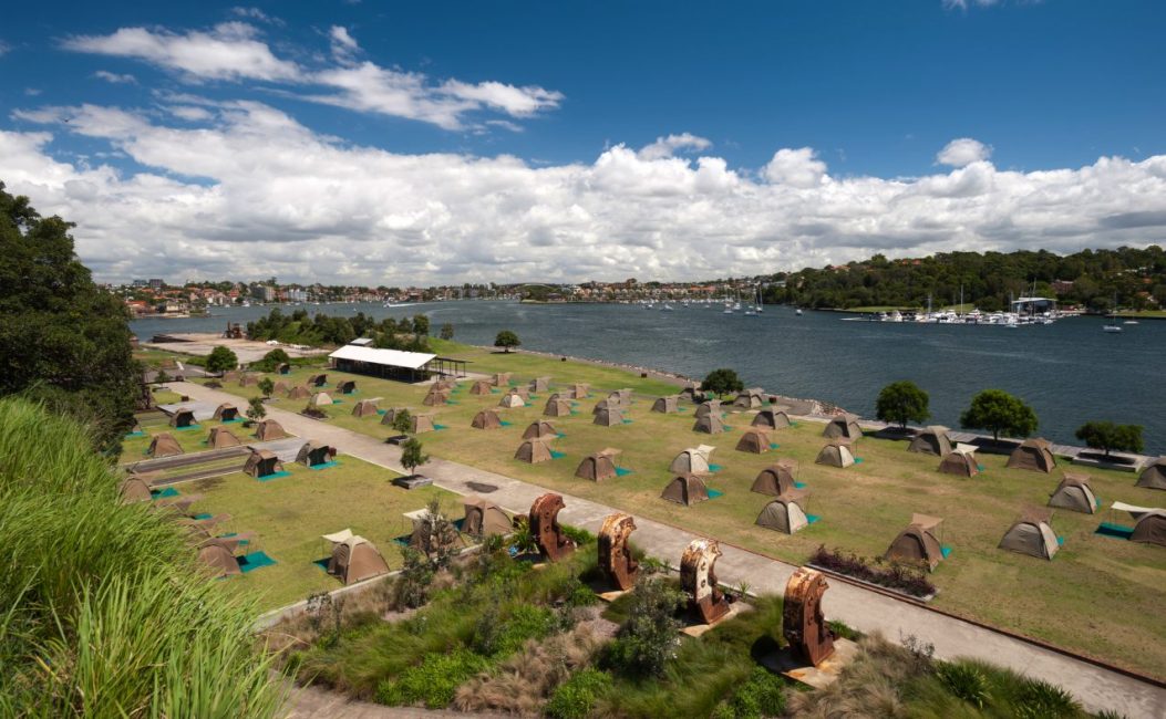 Cockatoo Islands campground view of tents and Sydney harbour