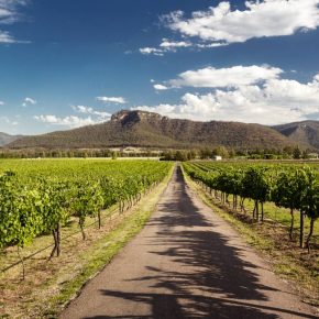 View of Hunter Valley vineyards, NSW, Australia