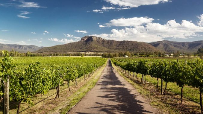 View of Hunter Valley vineyards, NSW, Australia View of Hunter Valley vineyards, NSW, Australia