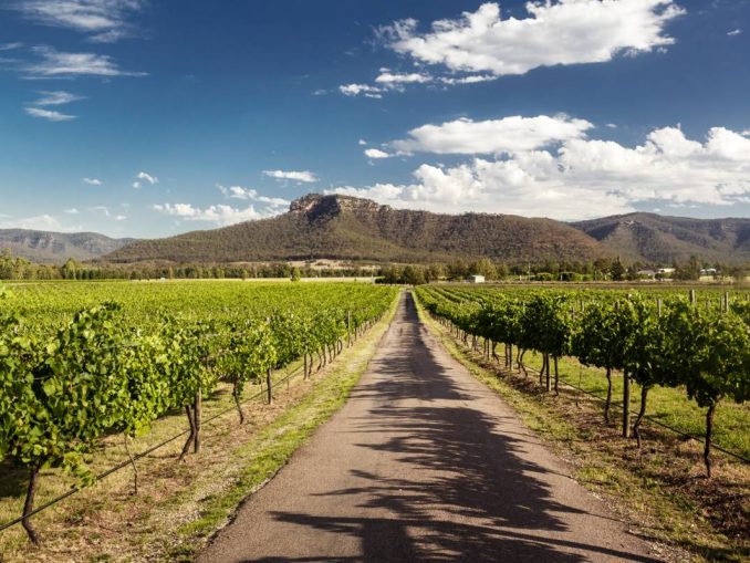 View of Hunter Valley vineyards, NSW, Australia