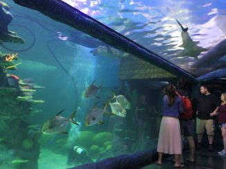 Sydney Aquarium