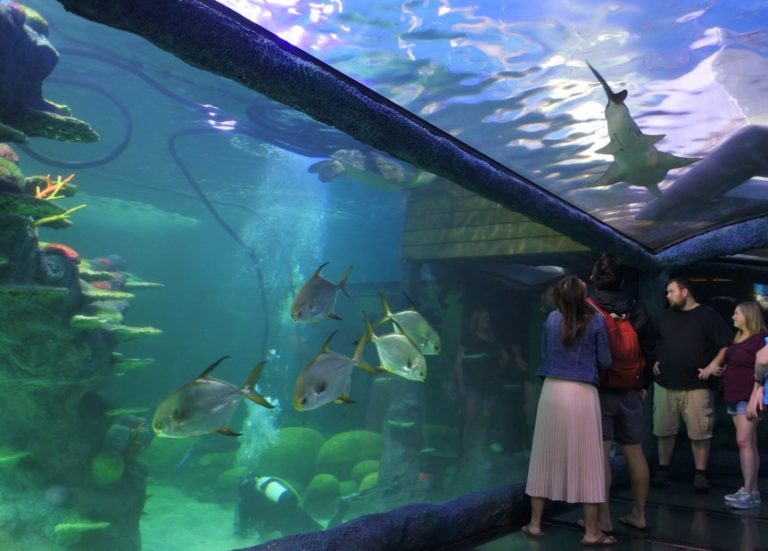 Sydney Aquarium