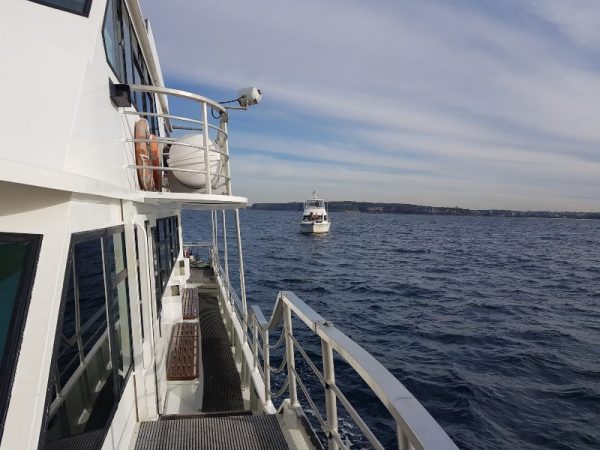 Oz Whale Watching Boat Sydney