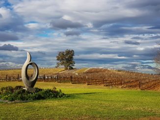 Hunter Valley NSW view at Sabor