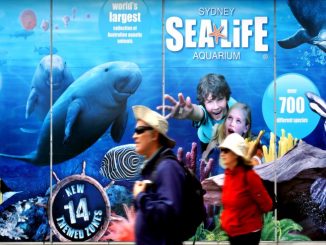 Sydney Attraction Passes