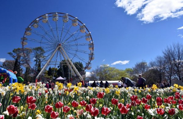 Ferris wheel at Floriafe flower festival in September