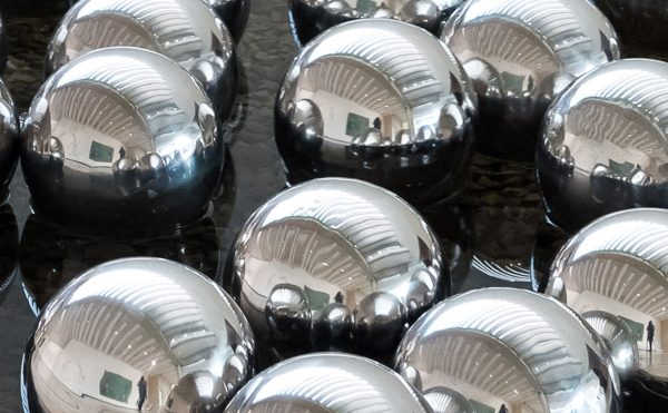 Silver Balls Narcissus Garden Sydney