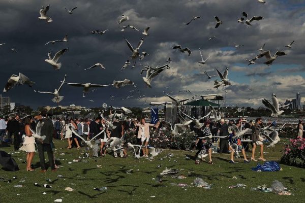 Image of racegoers during a storm with seagulls and dark clouds