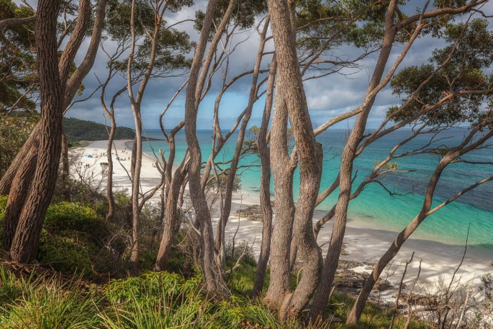 Things to do in Jervis Bay This Year