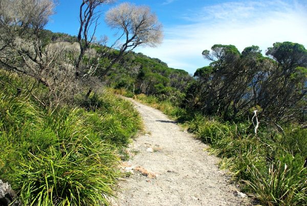 Jervis Bay hiking track on Beecroft Peninsula