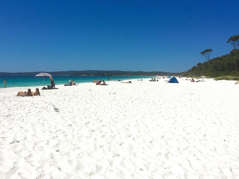 Discovering Paradise: Jervis Bay Things to do & See | Sydney Expert