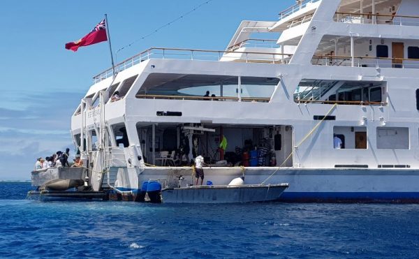 Reef Endeavour how to get ashore by tender